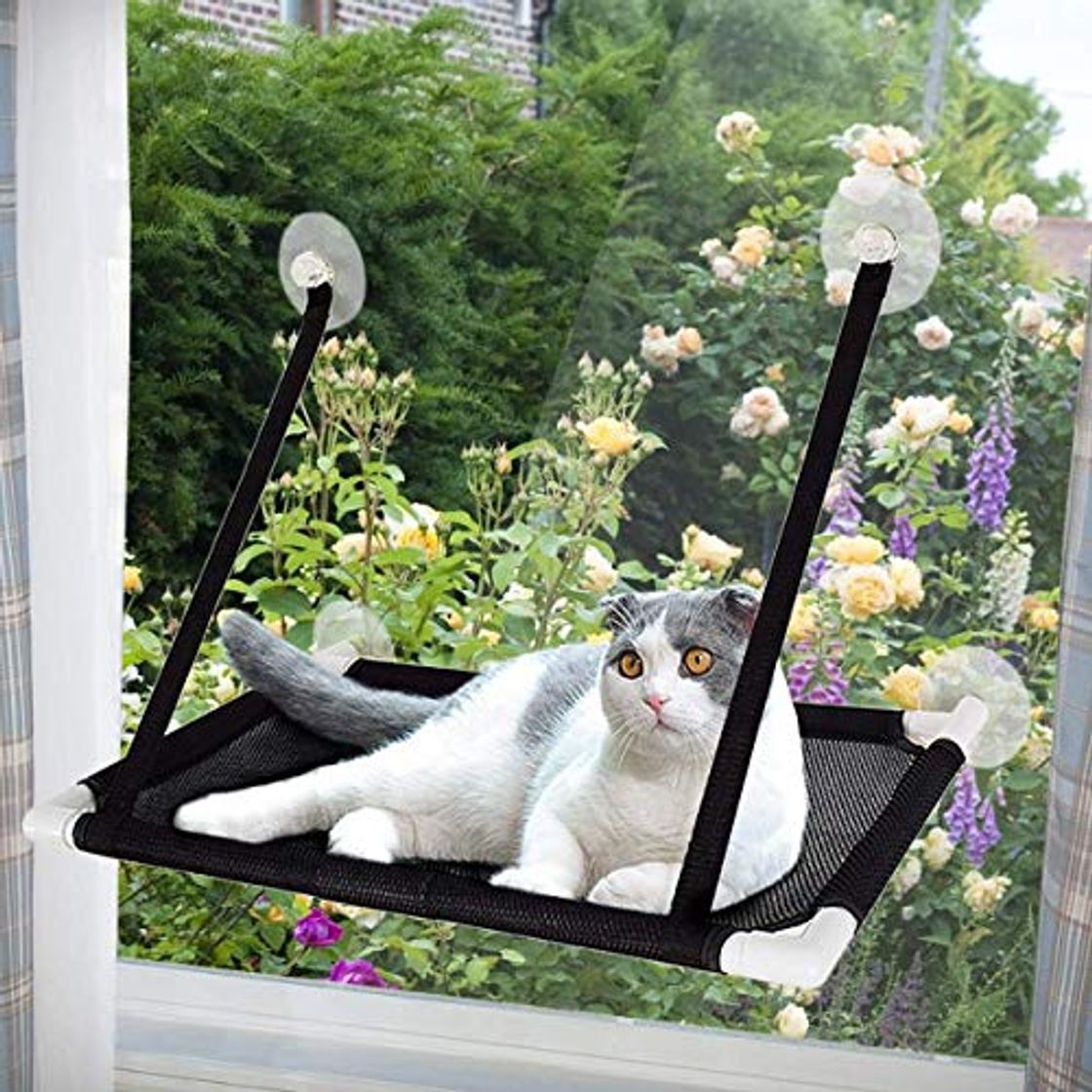 Productos Afufu Ventana de Gato Cama de Hamaca, Cama Hamaca para Gato Estantes