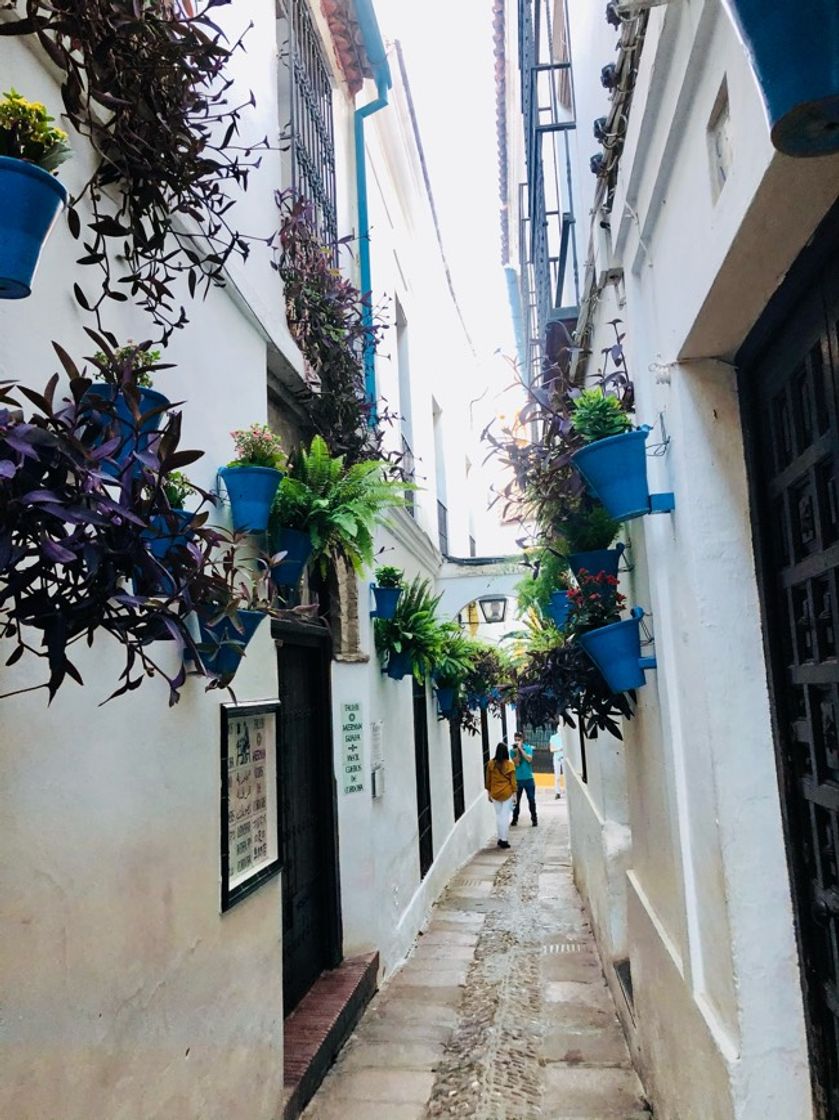 Lugar Calleja de las Flores