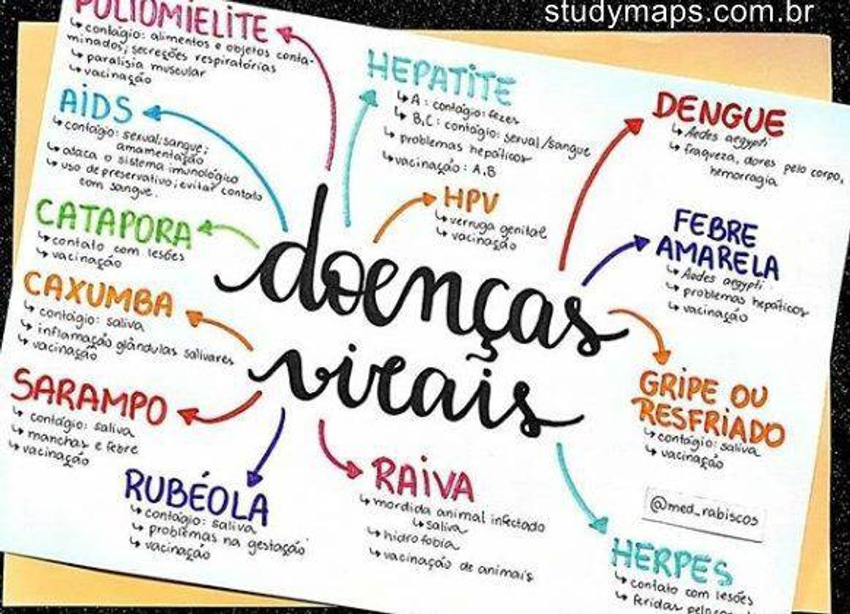 Fashion Mapas Mentais