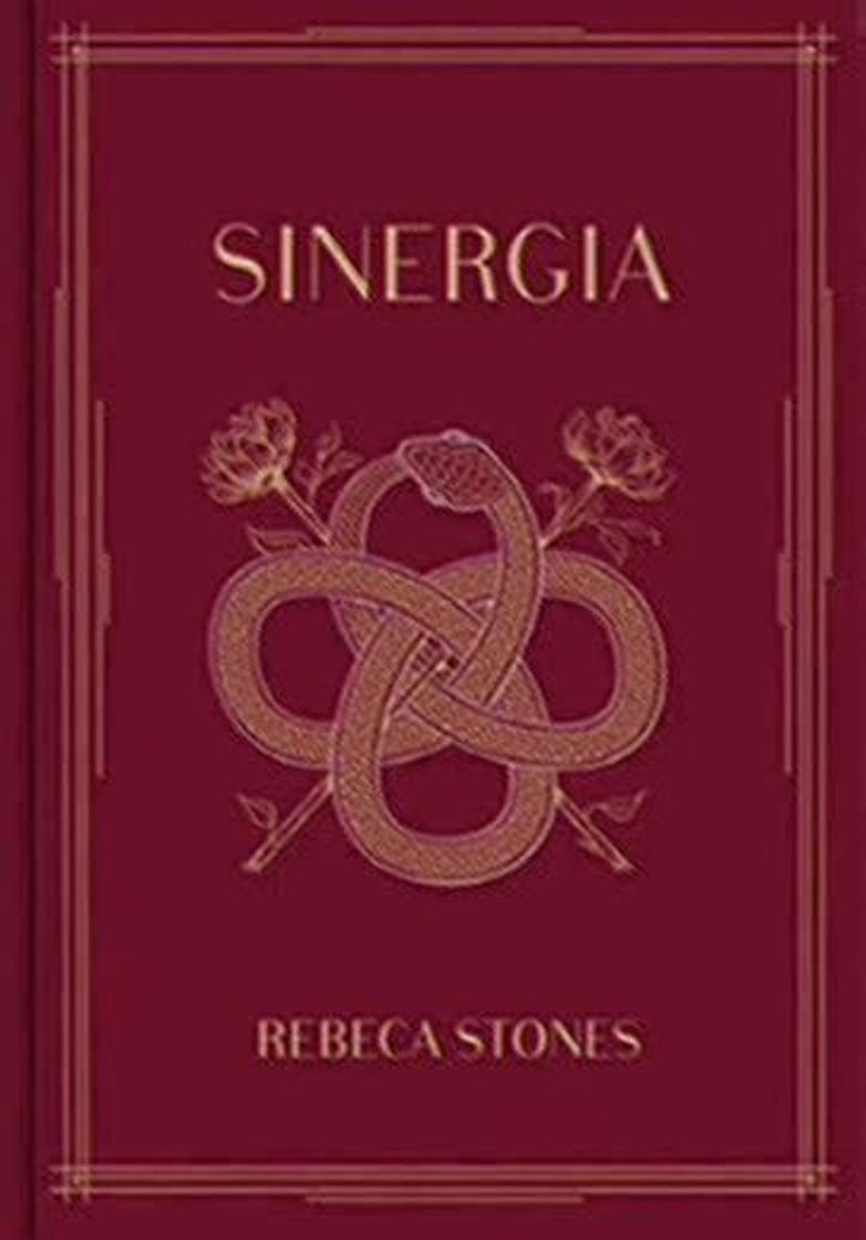 Libro Sinergia