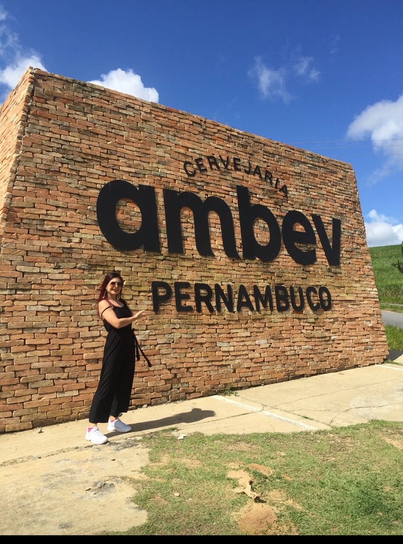 Place Ambev Pernambuco 