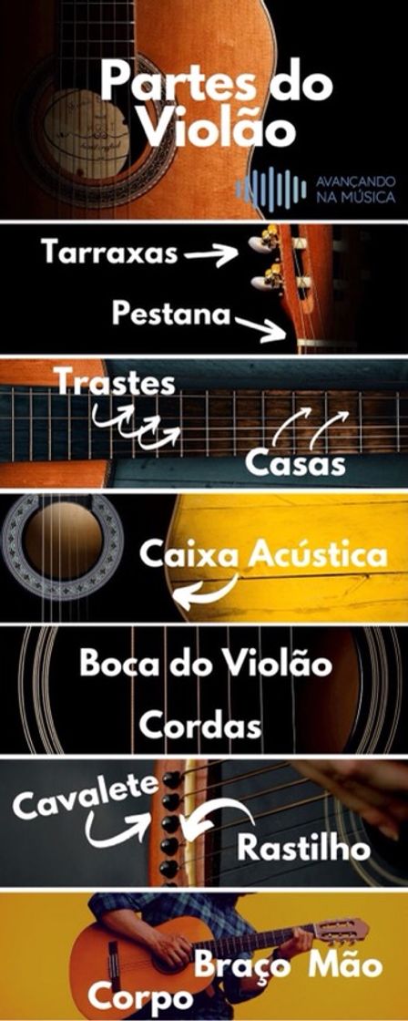 Moda Partes do Violão 