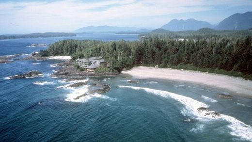 Tofino