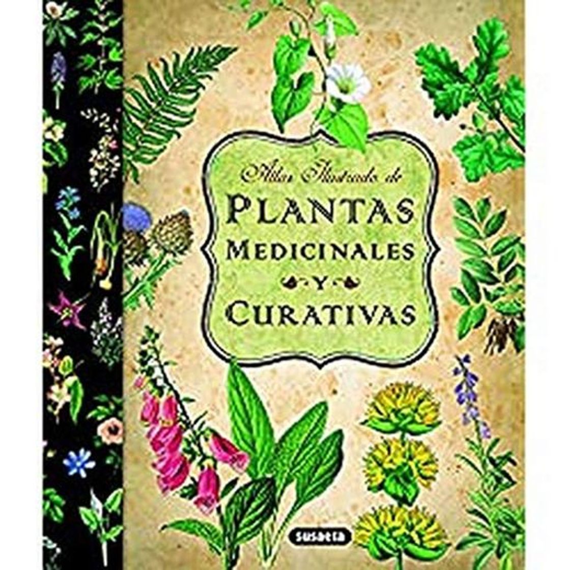 Libro Plantas Medicinales Y Curativas