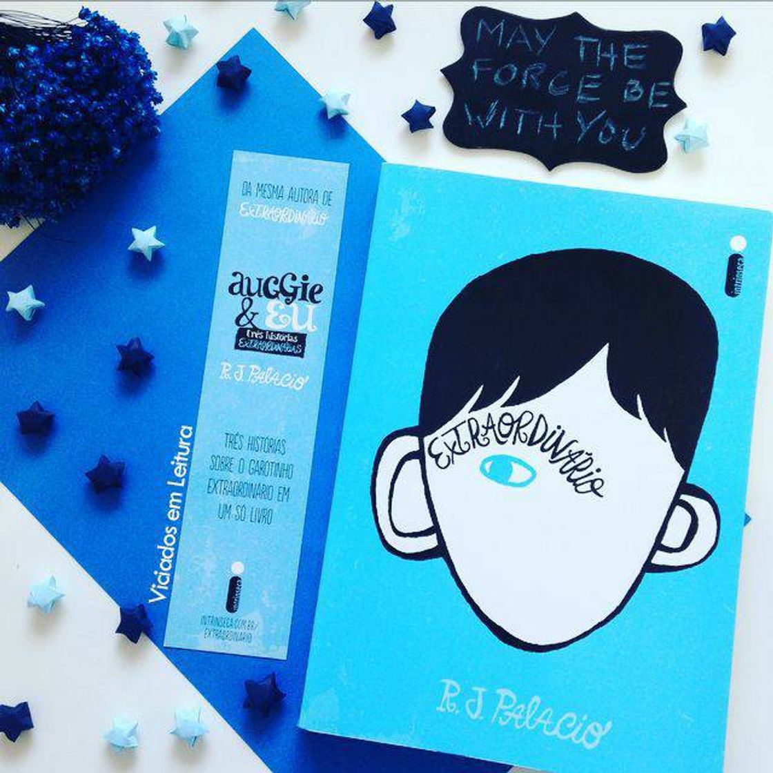 Book Extraordinário - R. J. Palacio