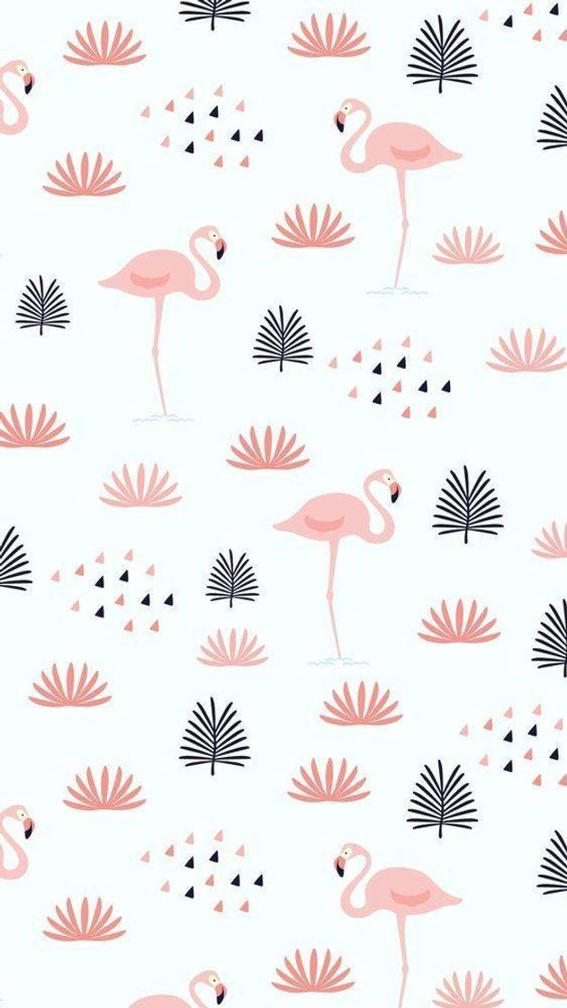 Fashion Flamingos 🦩