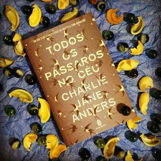 Livro "Todos os pássaros do céu"