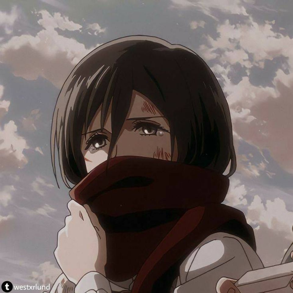 Fashion Mikasa icon