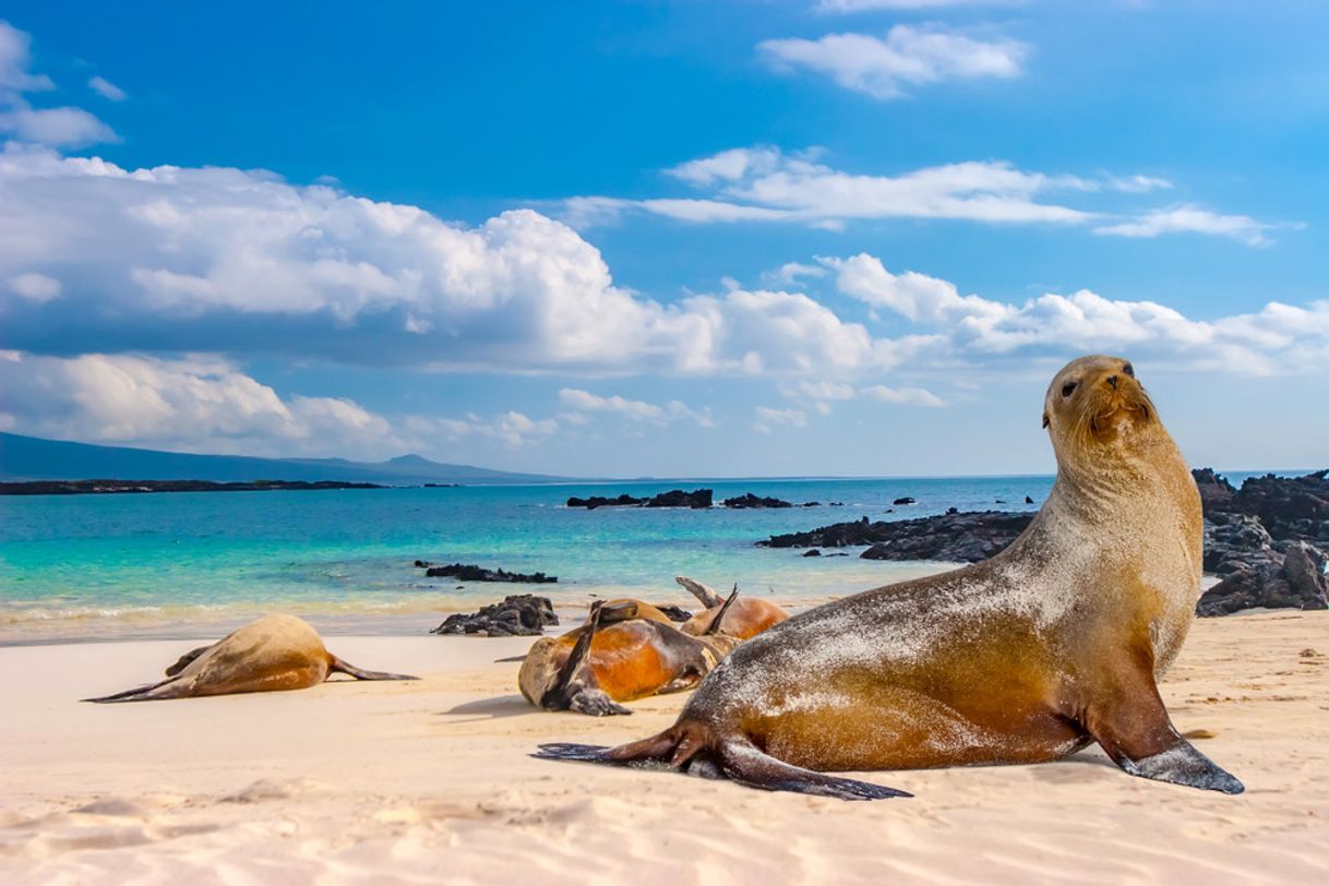 Place Galapagos Islands