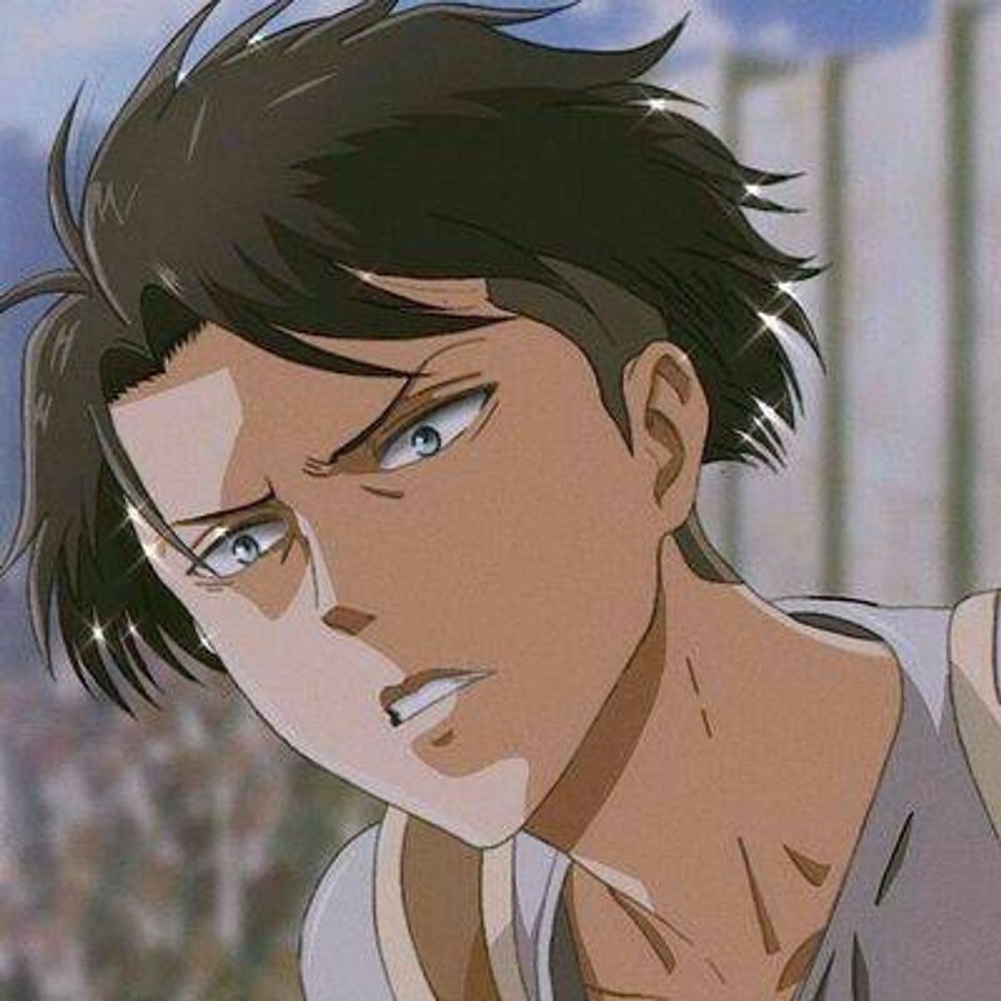 Icon levi