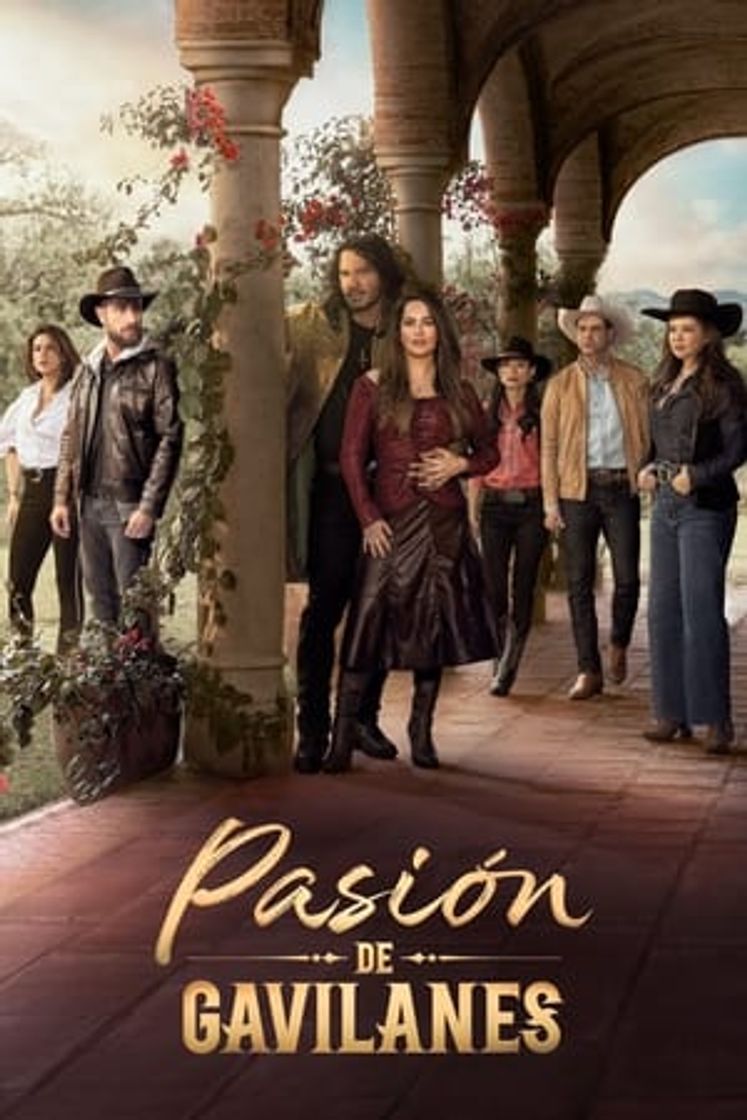 Serie Pasión de gavilanes