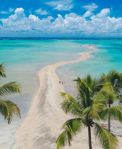 Praia em Maragogi - Alagoas