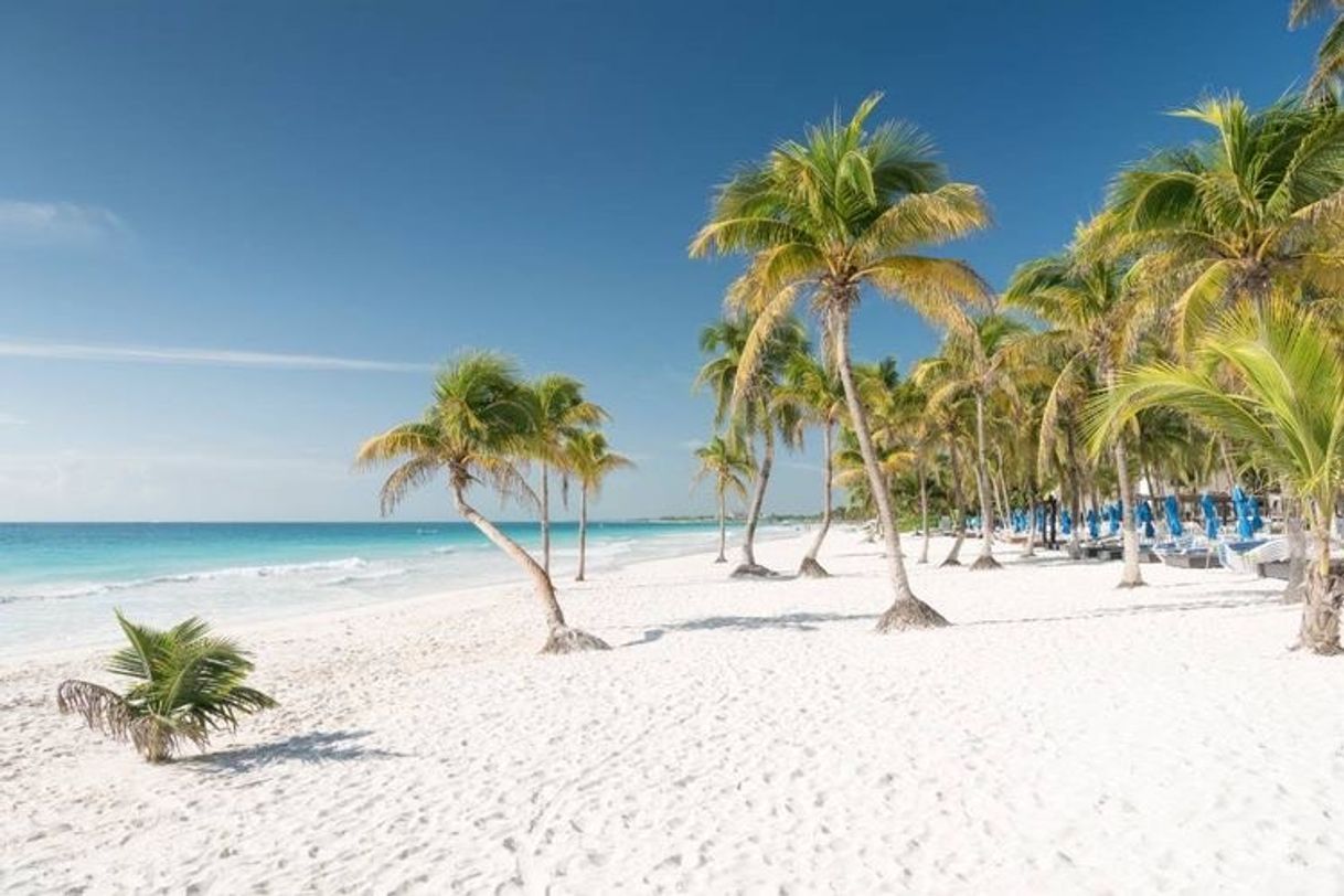 Lugares Playa Paraiso, Tulum, México