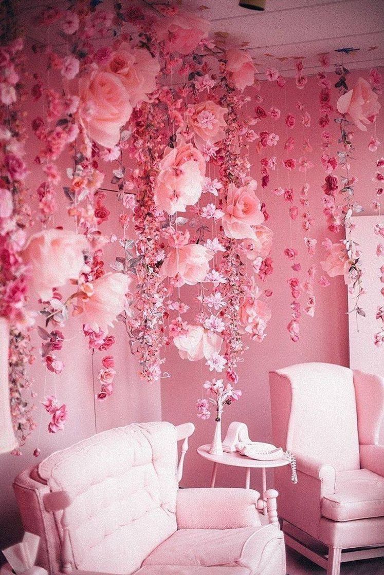 Moda Pink room