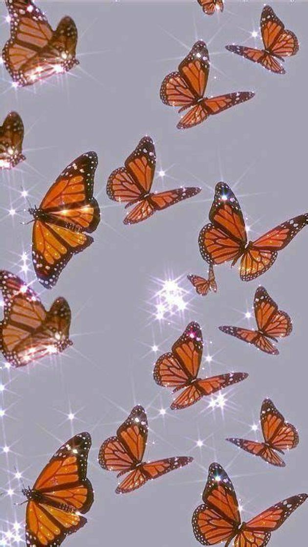 Fashion 🦋Orange Butterfly🧡