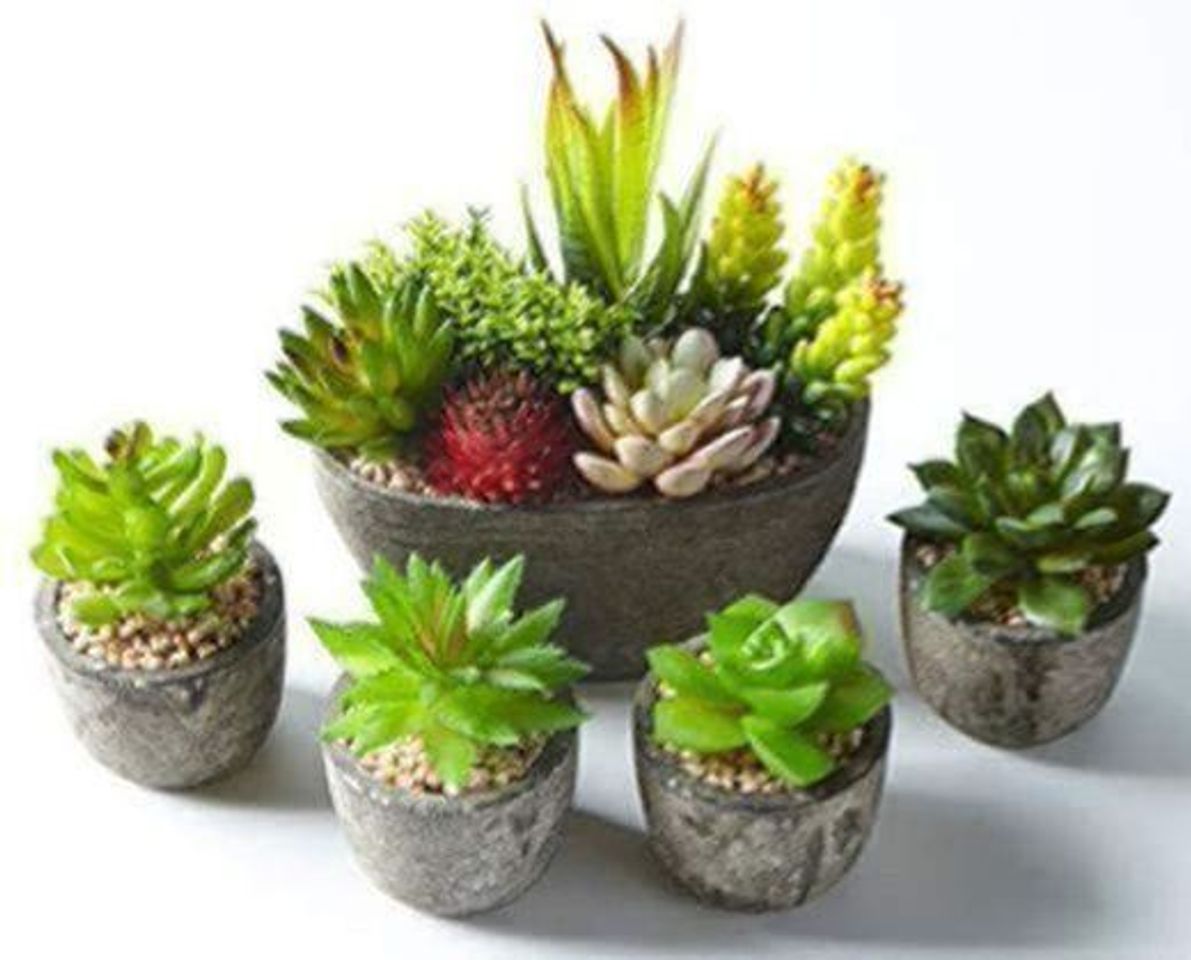 Producto Jobary 5pcs Plantas Suculentas Artificiales Falso Plantas Decorativas Suculentas，Ideal para el Hogar