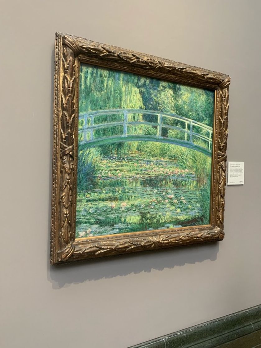 Moda A Lagoa de Lírios d'água- Monet 