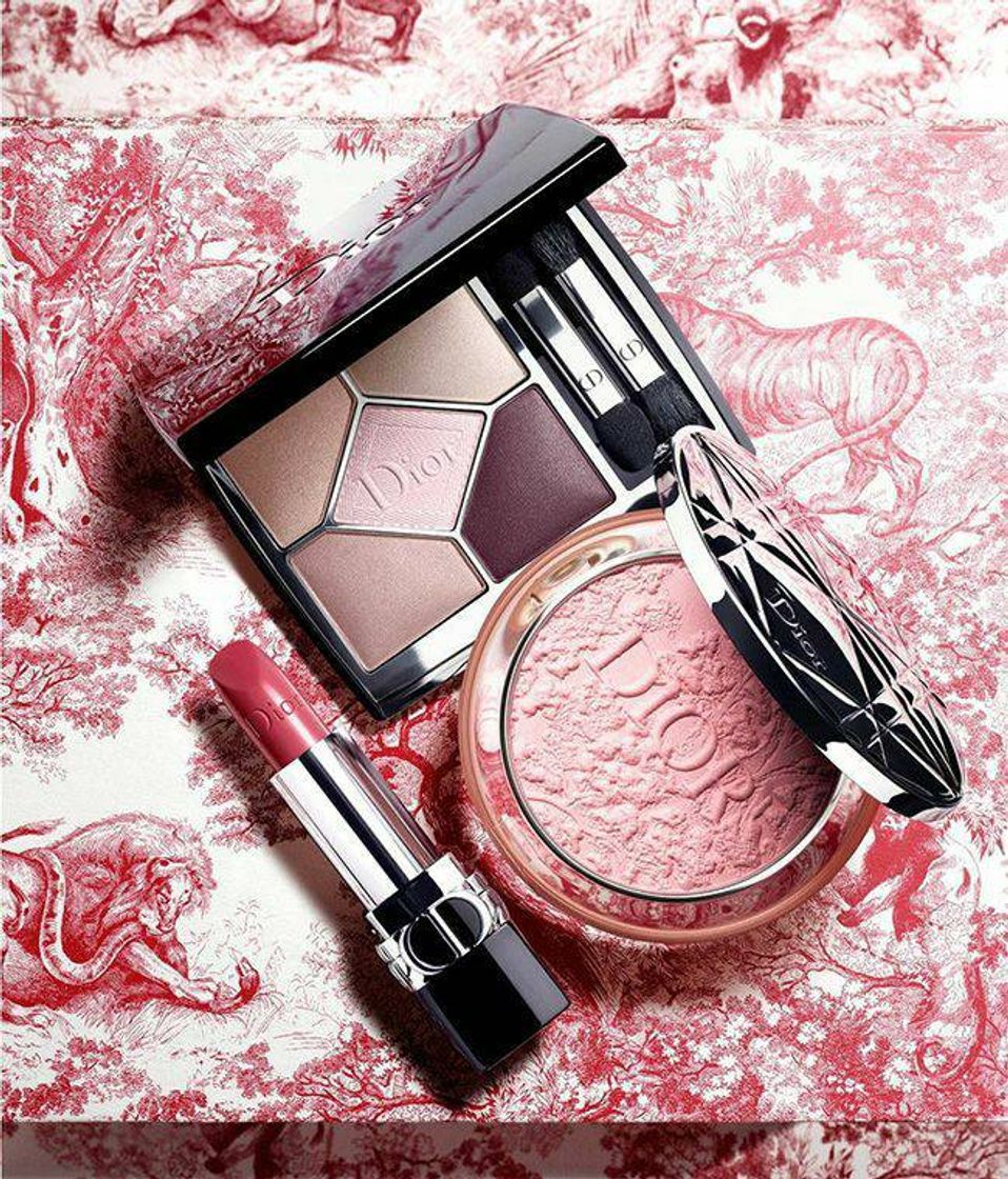 Moda Dior Color Fantasias 