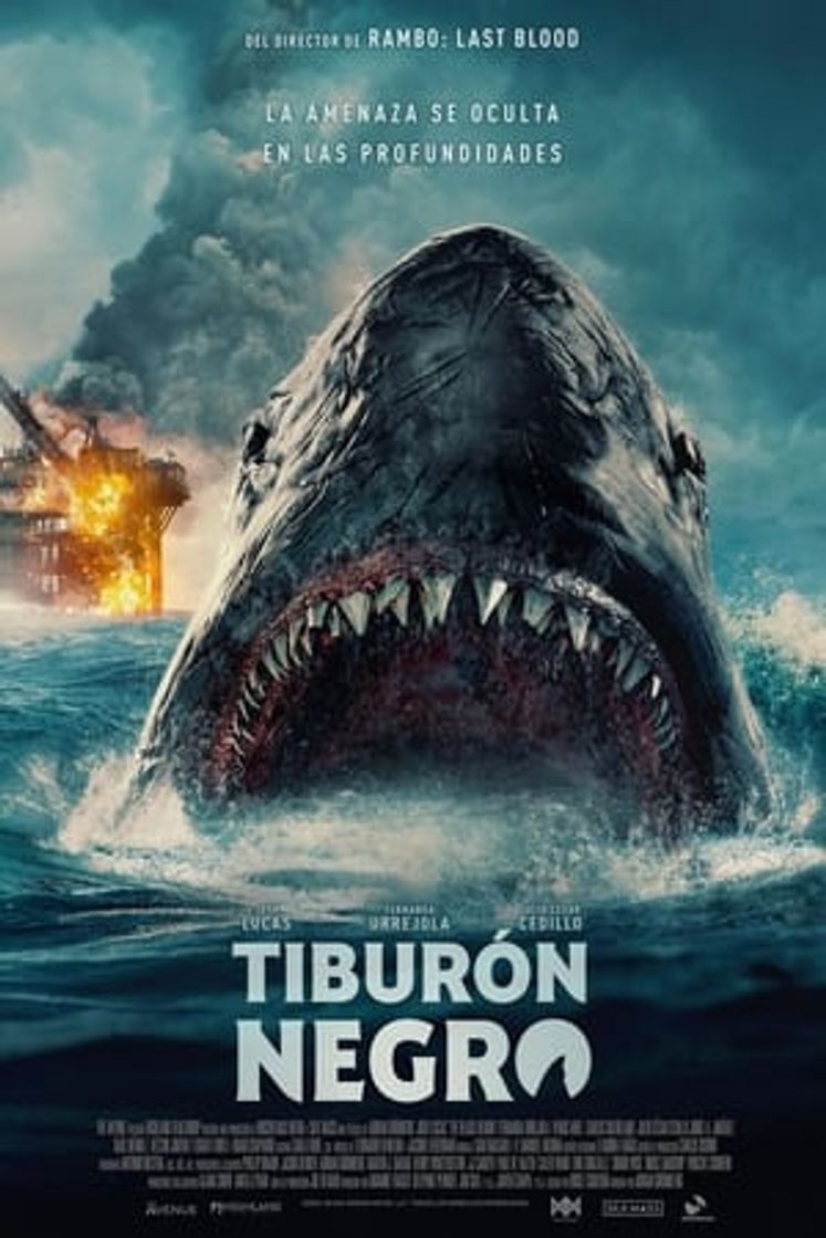 Película Tiburón negro