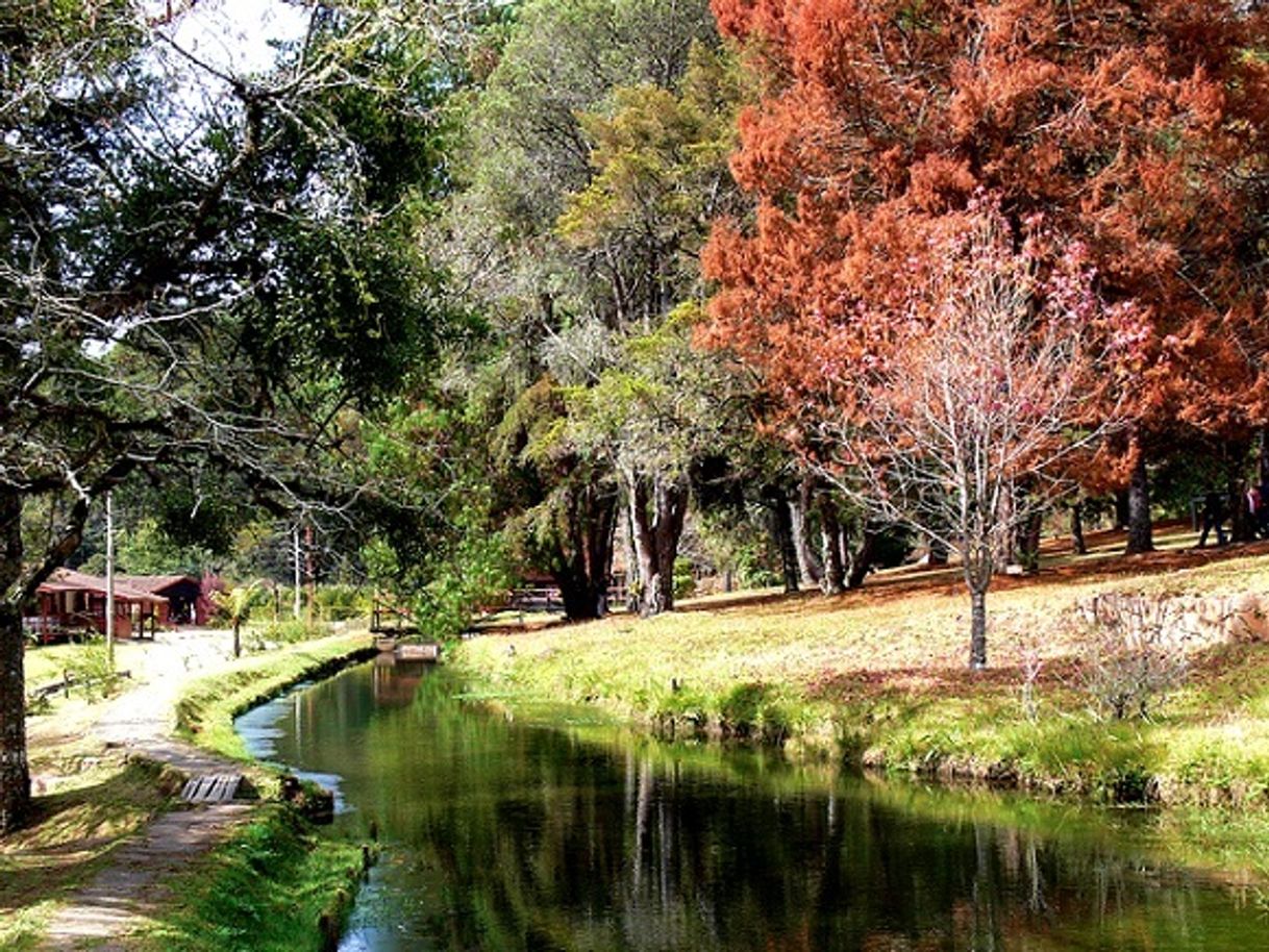 Place Parque Estadual Campos do Jordão (Horto Florestal)