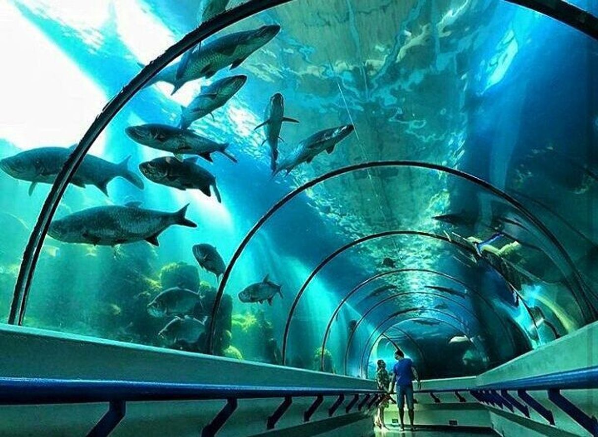 Place Acuario Nacional de la República Dominicana