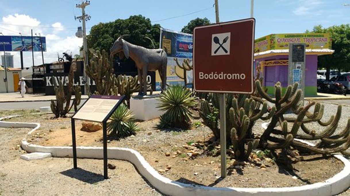 Restaurantes Bêra D'Água Bodódromo