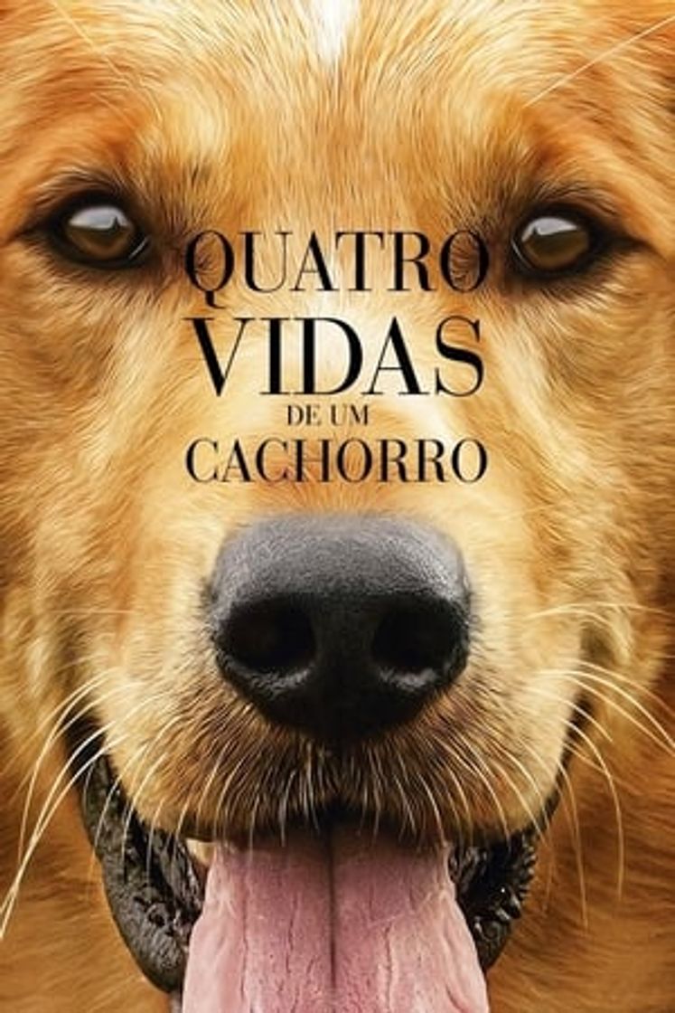 Tu mejor amigo