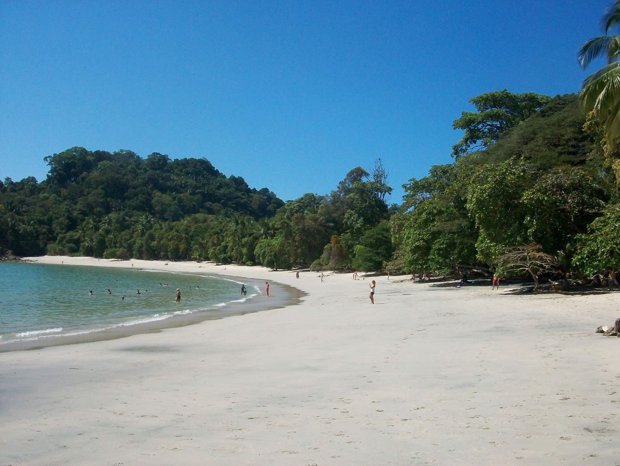 Lugar Manuel Antonio