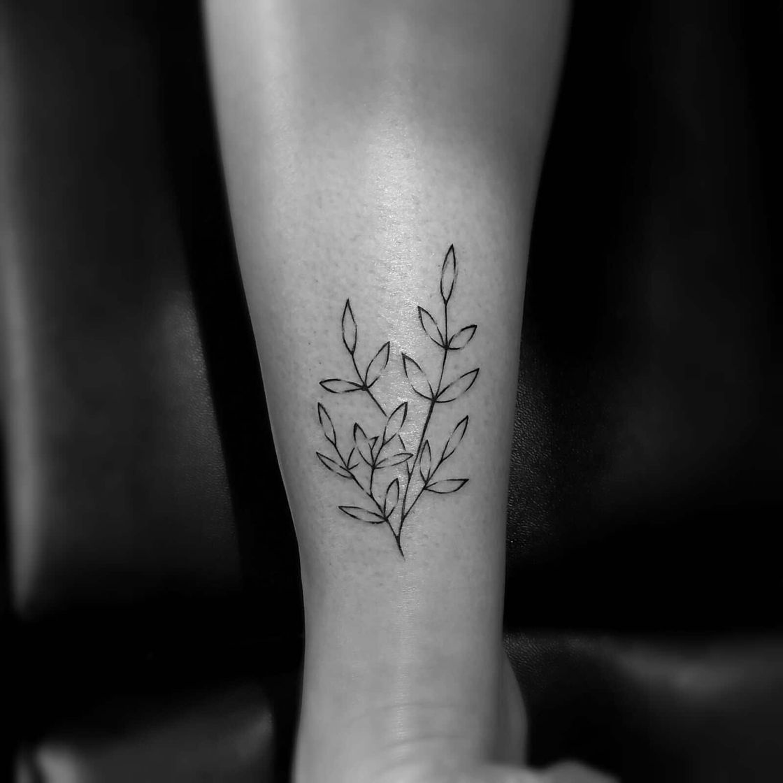 Fashion Tattoo fine line