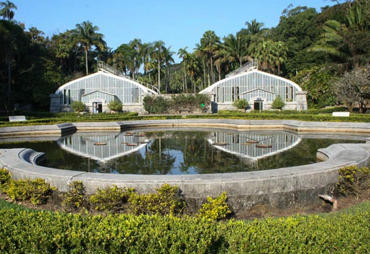 Lugar Jardim Botânico