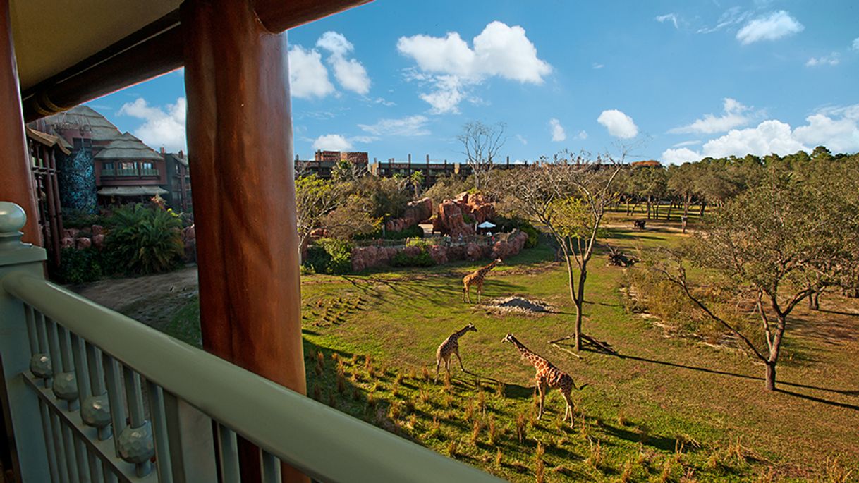 Lugar Disney's Animal Kingdom Lodge