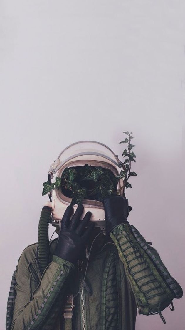 Social Wallpaper aesthetic 