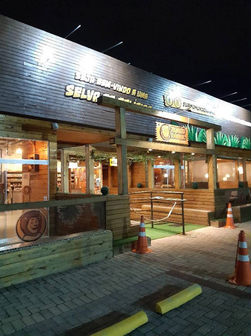 Restaurantes Mundo Animal Lanchonete Temática - Curitiba