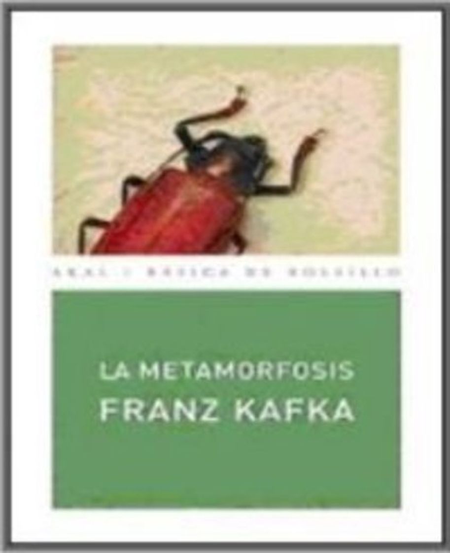 Libro La Metamorfosis: 199