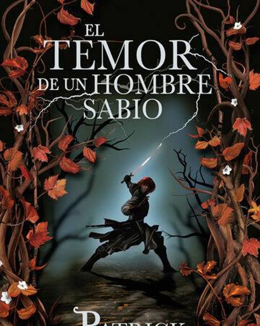 Books El temor de un hombre sabio (crónica del asesino de reyes 2)