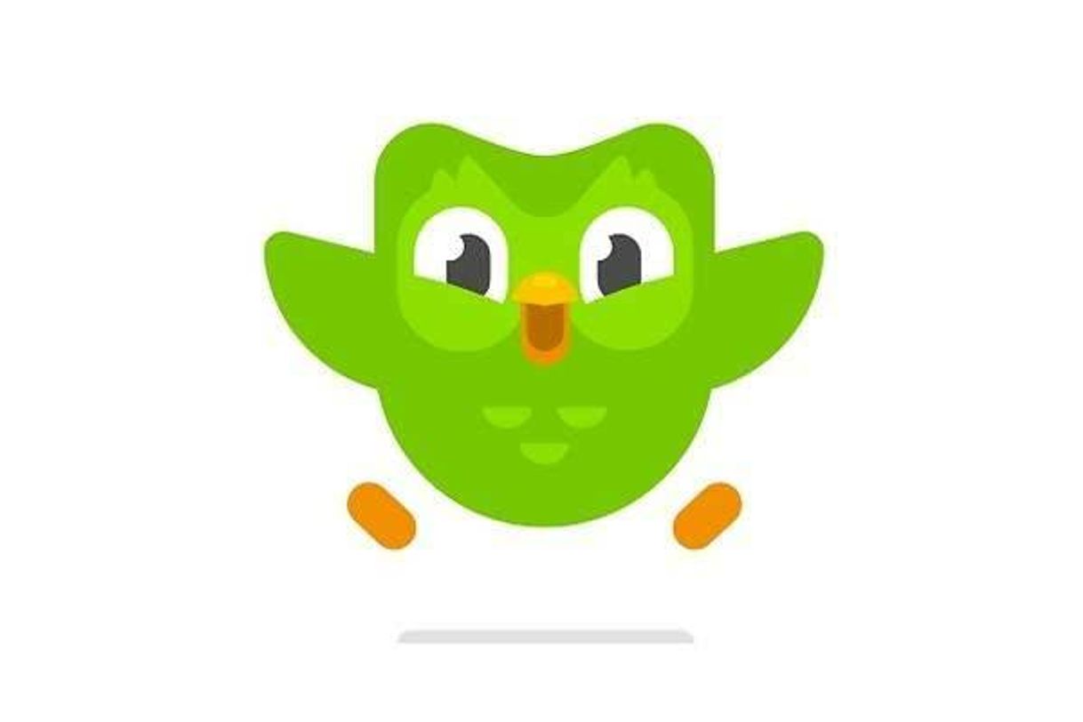 Moda Duolingo