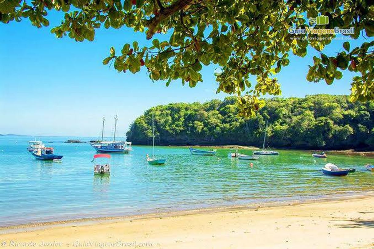 Place Praia dos Ossos