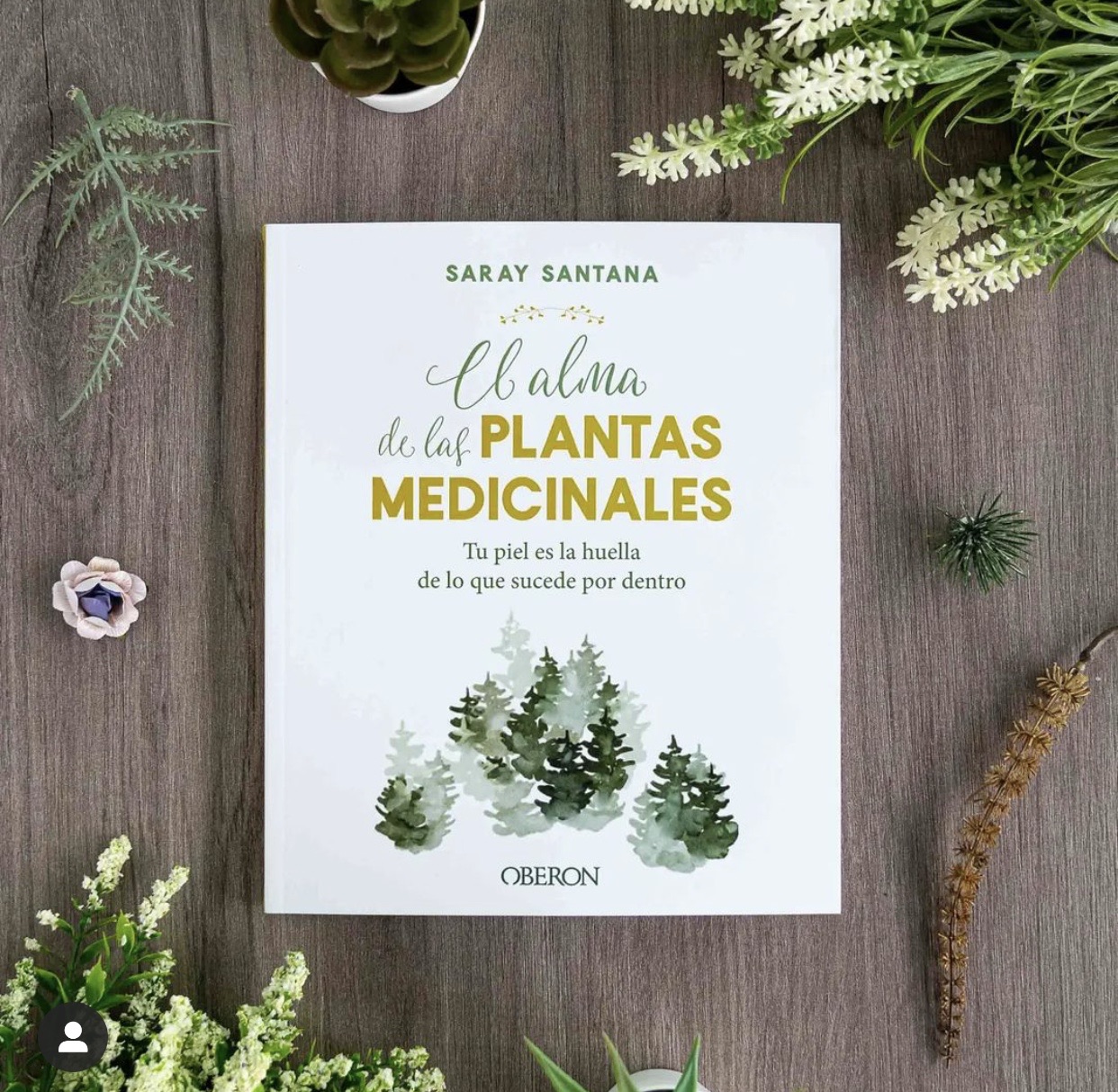 Libro El alma de las plantas medicinales