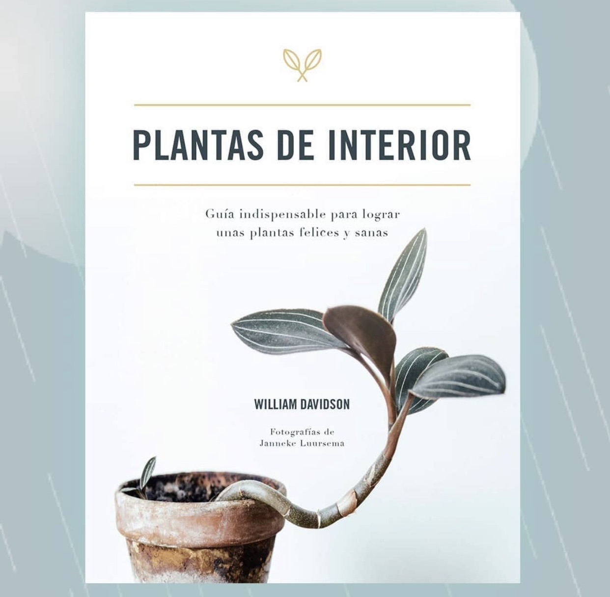 Libros Plantas de interior