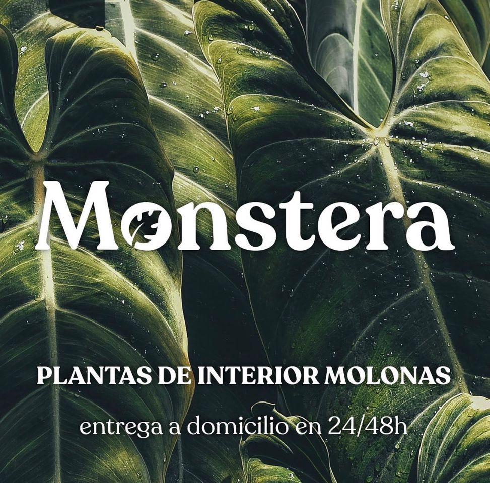 Moda Monstera