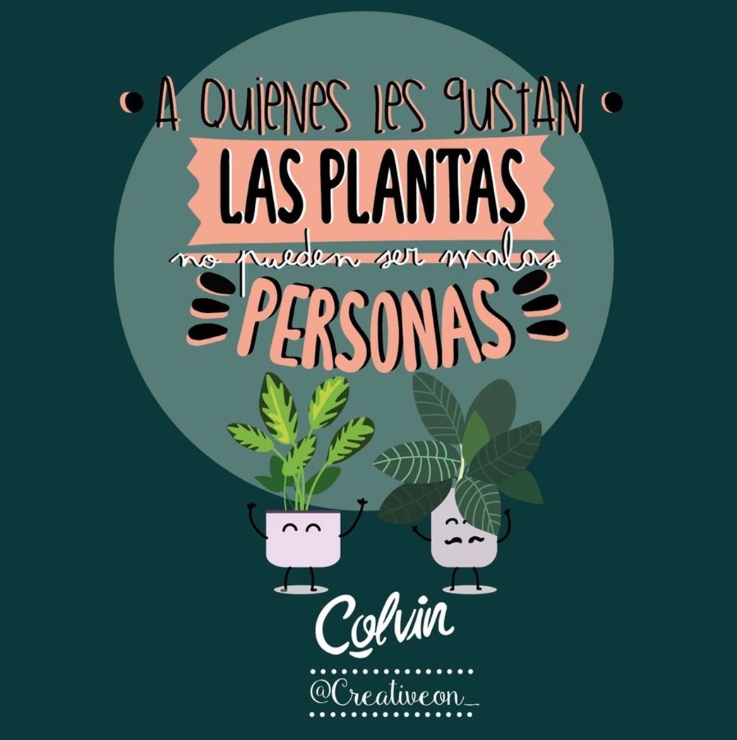 Moda Colvin: Envía ramos de Flores a domicilio - Entrega Gratis