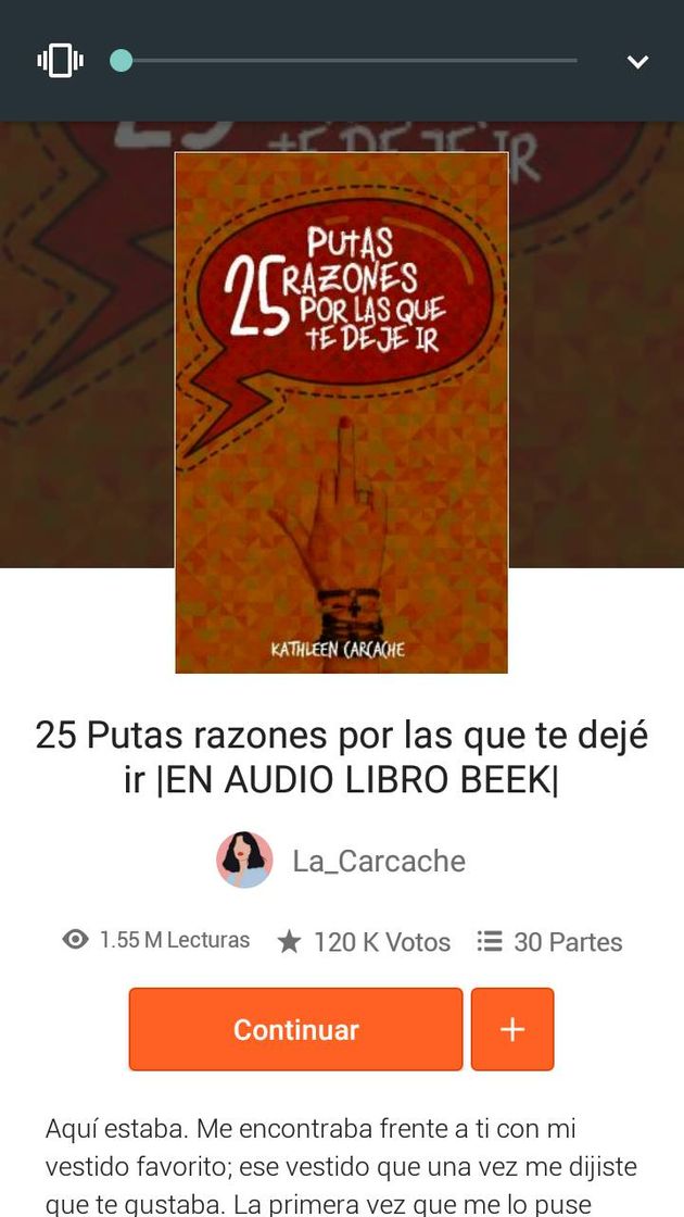 Libros 25 putas razones por las que te deje ir🖕