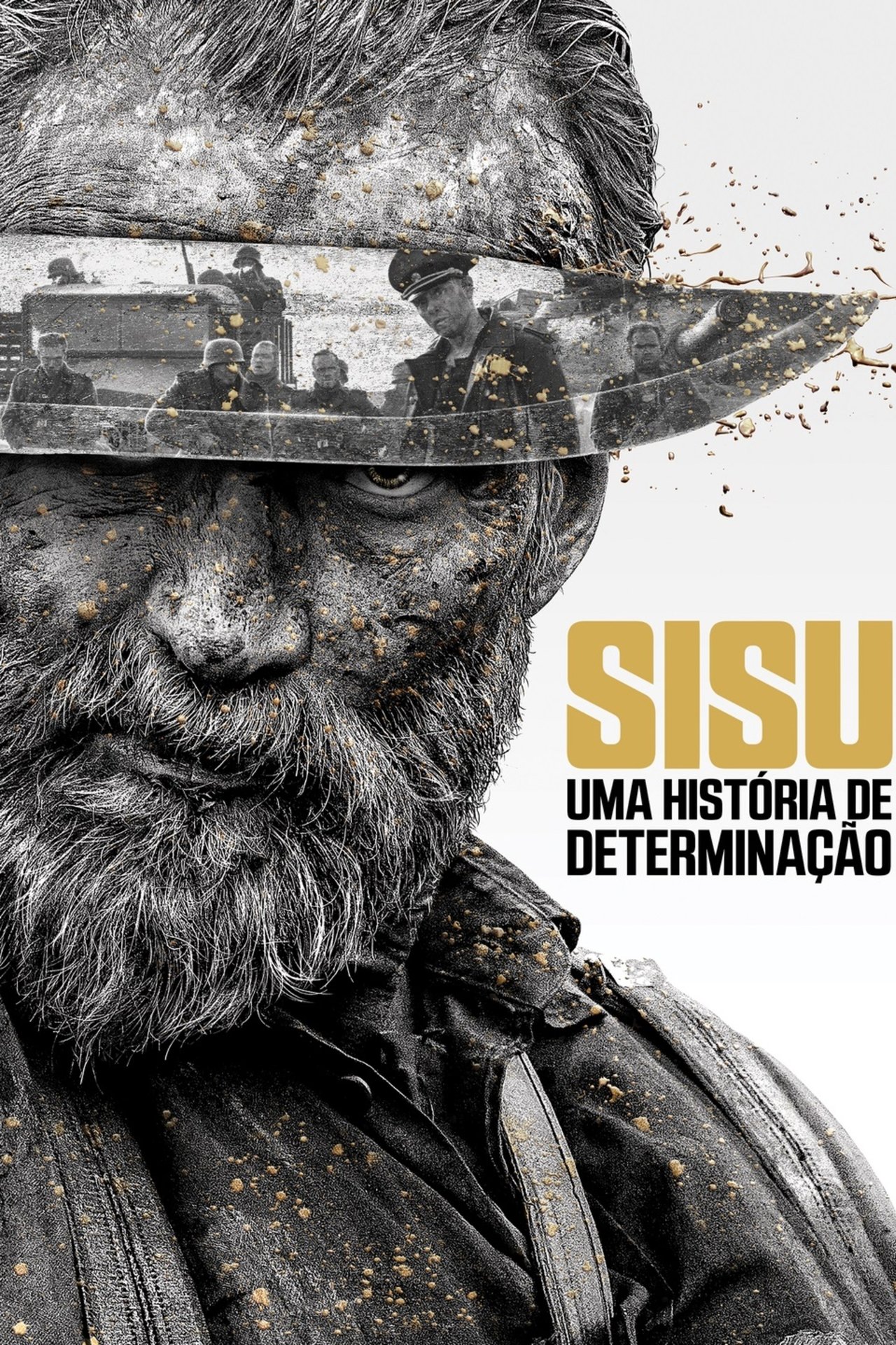 Sisu