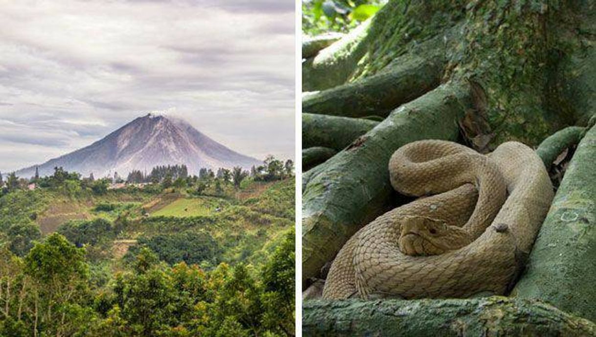 Place Monte Sinabung