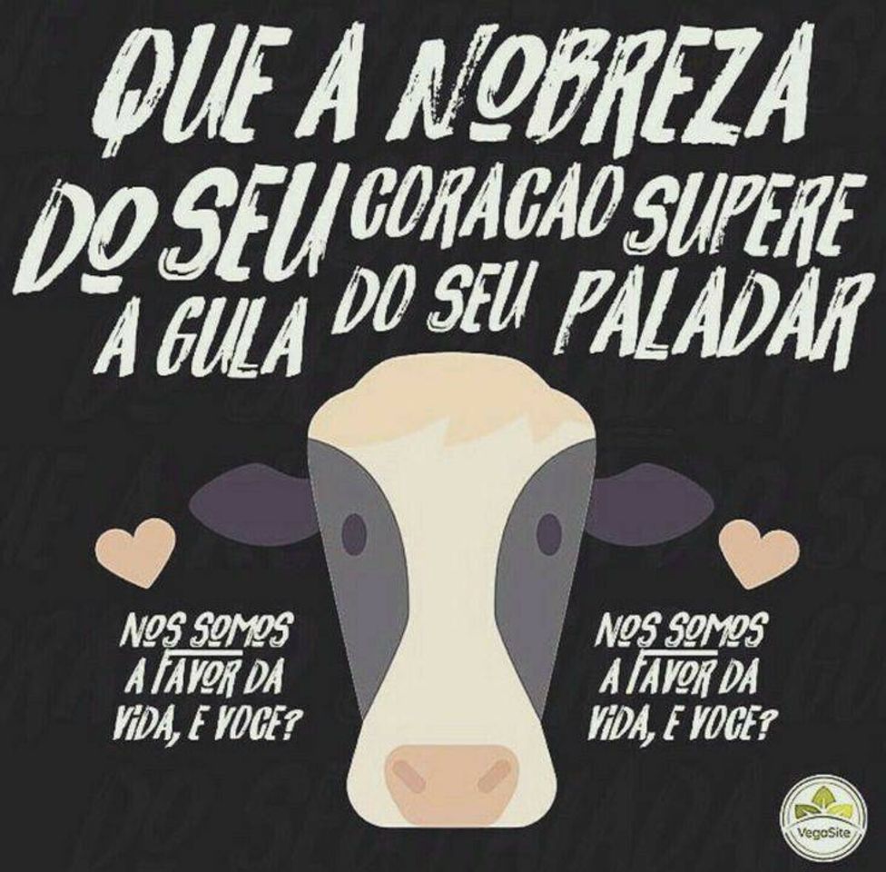 Social Escolha seu coração