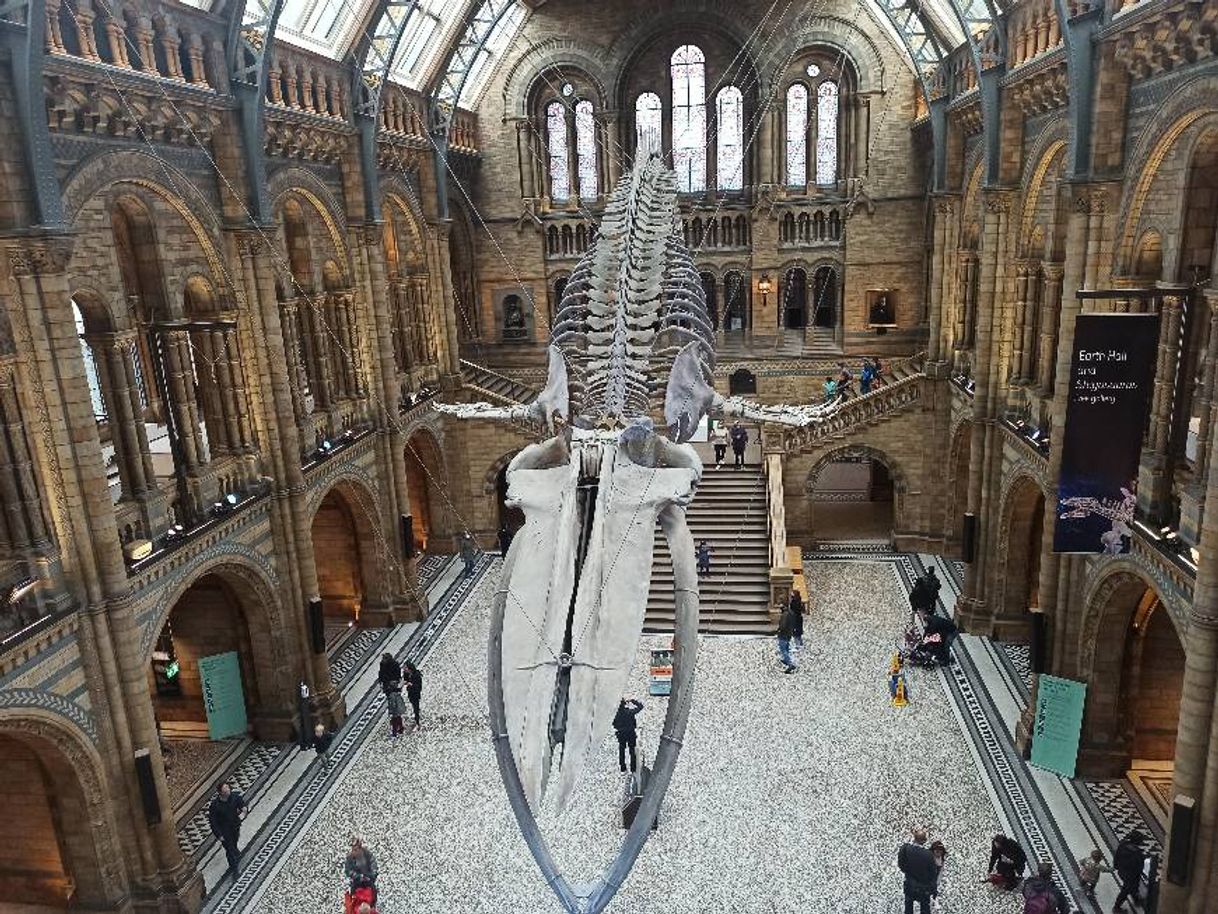 Place Natural History Museum