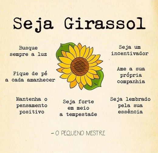 Frases de motivação 