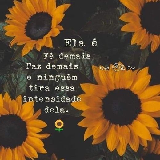 Frases motivacionais