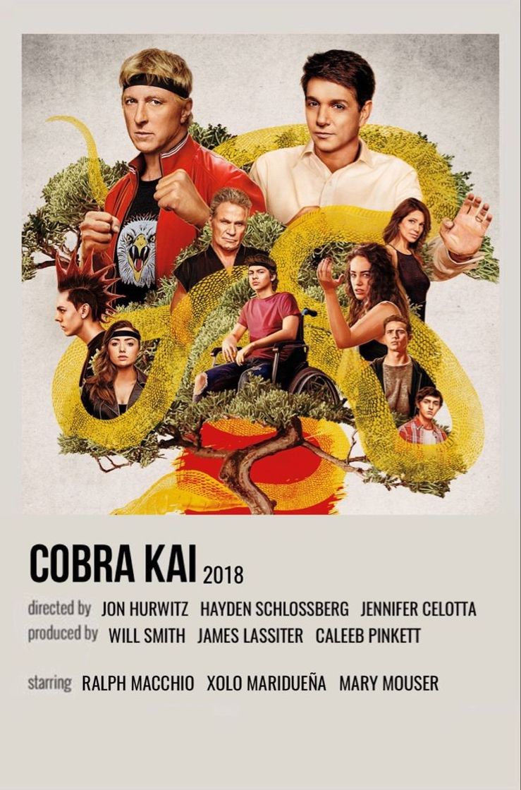 Cobra kai