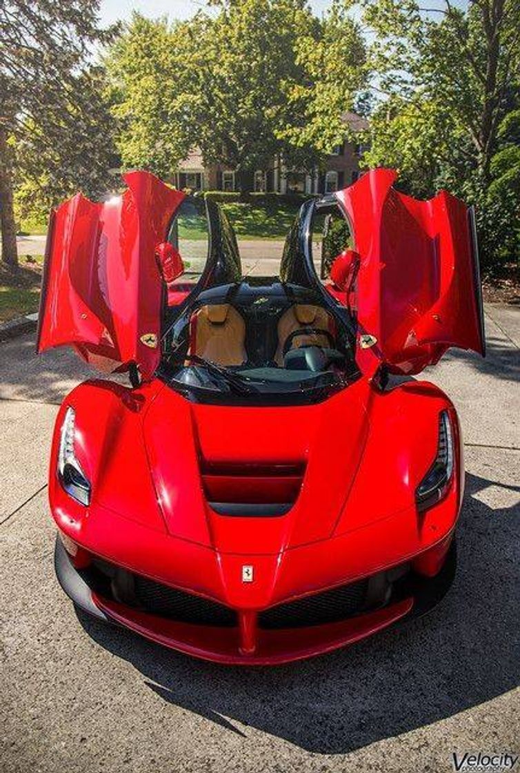 Fashion  Ferrari ❤️